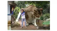 Editan Foto Kucing Raksasa ini Kocak Banget (sumber:Instagram/niduy_cahyudin)
