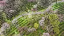 Foto udara yang diambil pada 13 Februari 2023 ini memperlihatkan orang-orang sedang mengamati bunga plum di Nanjing, di provinsi Jiangsu timur China. Menjadi penanda datangnya musim semi, mekar pohon plum ditandai dengan aroma harum di sekitar pepohonannya. (Photo by AFP)