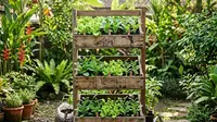 Cara Membuat Rak Bibit Sayur dari Peti Buah Bekas, Solusi Ramah Lingkungan untuk Berkebun di Rumah