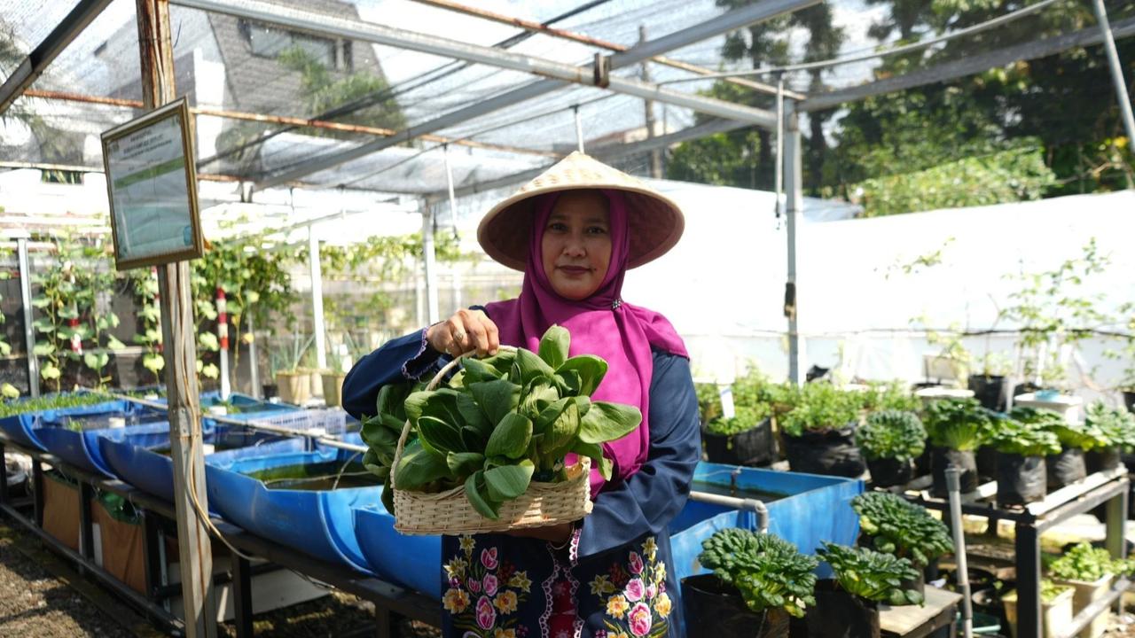 BRI Berdayakan Perempuan Lewat Urban Farming Program BRInita