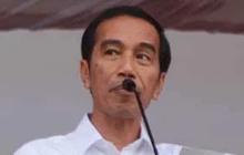 Demi Suplai Pabrik Pupuk di Papua, Presiden Jokowi Dukung 2 Proyek Migas jadi PSN