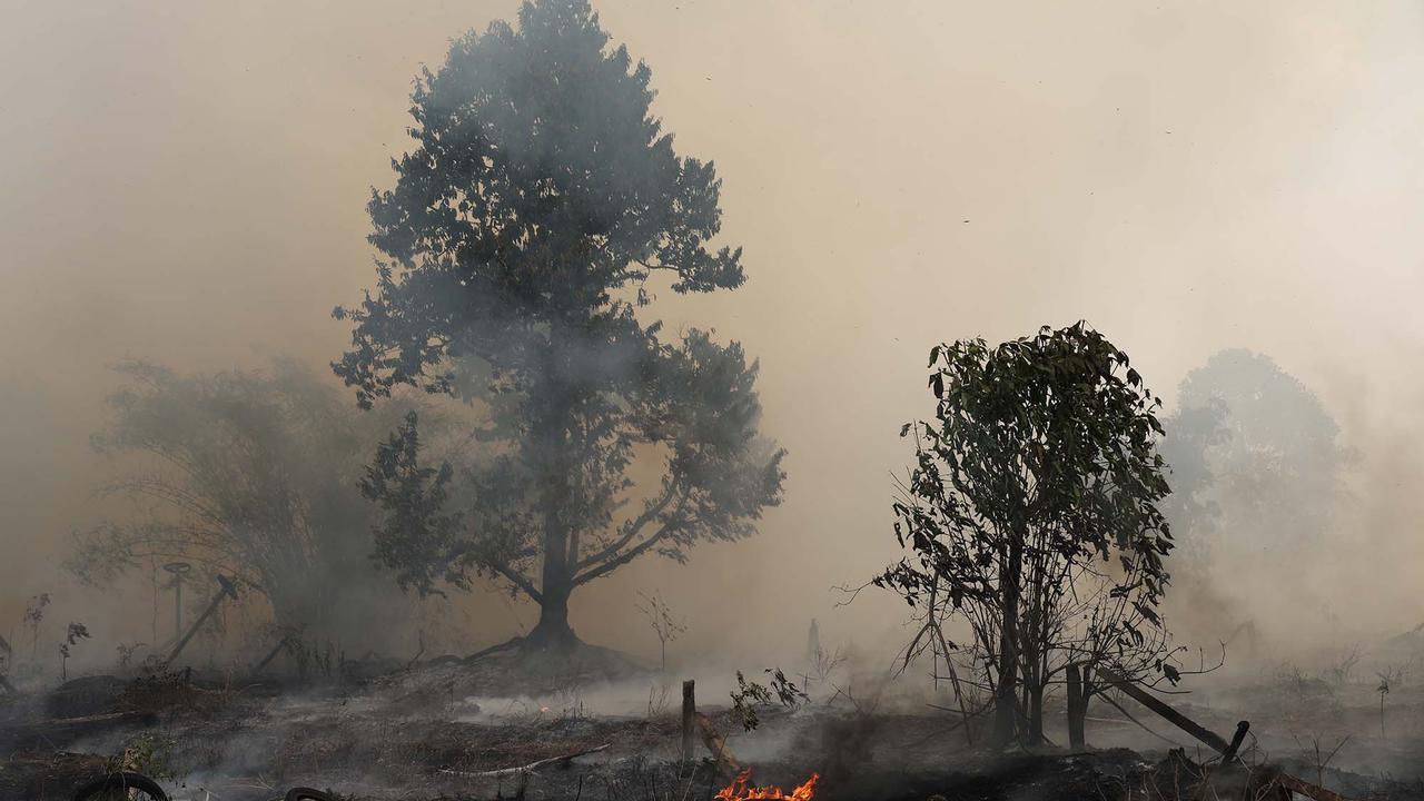 Kebakaran Hutan Kalimantan Meluas, Kemenhut Genjot Operasi Modifikasi Cuaca