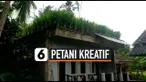 thumbnail petani kreatif