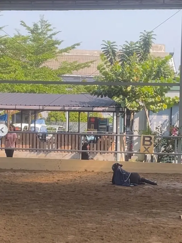 7 Potret Dinda Hauw Jatuh Waktu Berkuda, Langsung Dilarikan ke UGD