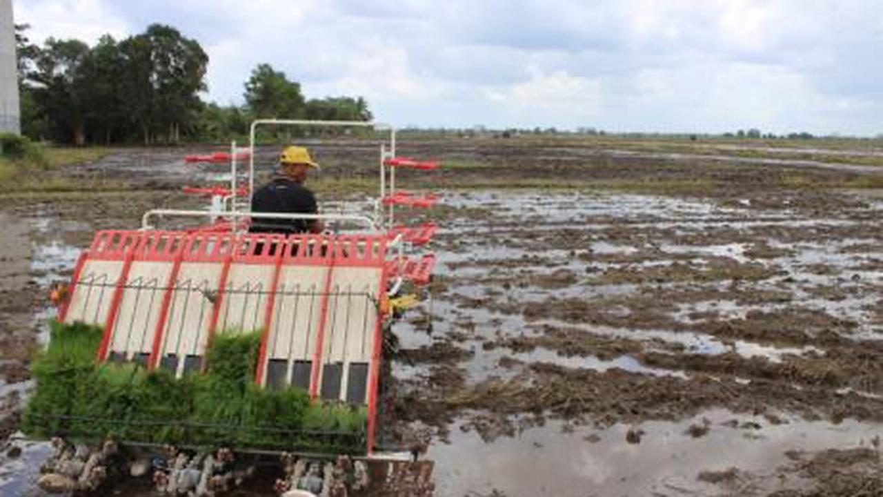 Sejalan dengan Tujuan Pembangunan Pertanian Nasional