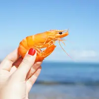 3 Manfaat Mengonsumsi Udang untuk Kesehatan Tubuh./copyright. pexels/