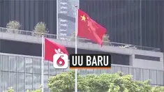 THUMBNAIL HK