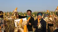 Menteri Pertanian Syahrul Yasin Limpo (SYL) melakukan panen raya jagung di Kabupaten Kendal, Jawa Tengah, Sabtu (27/6).