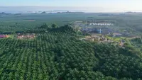 BWPT Siapkan Rp 37,29 Miliar untuk Lunasi Pokok Sukuk