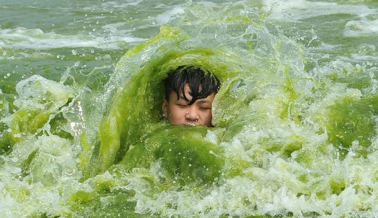 Seorang anak bermain di pantai yang tertutup ganggang di provinsi Qingdao, Shandong, Tiongkok pada 18 Juli 2016. Pertumbuhan industri dan kurangnya kesadaran lingkungan membuat saluran air terkontaminas (REUTERS / Stringer)