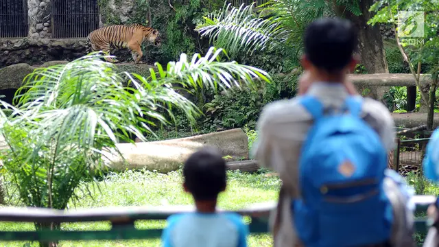 Kebun Binatang Ragunan