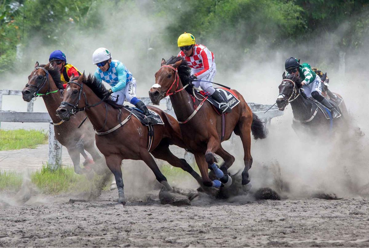 FOTO: Gagahnya Derap Kuda di Bantul,  Piala Raja Hamengku Buwono X 2025 Hidupkan Tradisi dan Sport Tourism