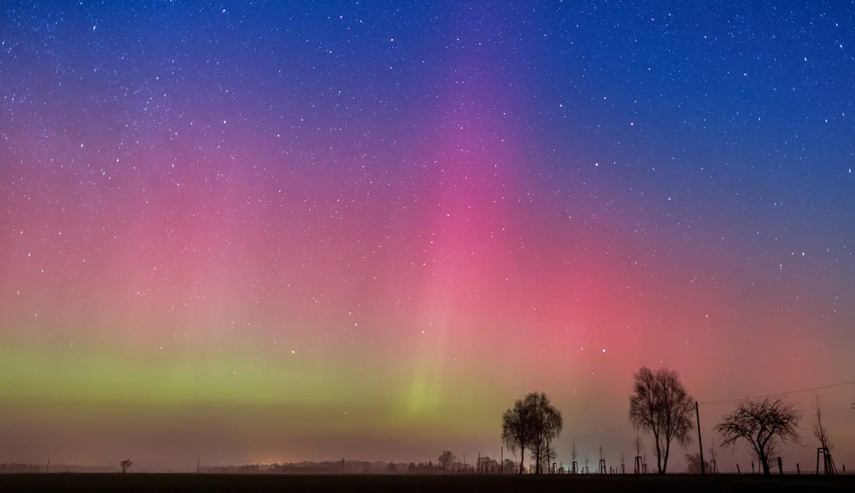 Pemandangan Aurora Borealis saat menghiasi langit Lietzen, dekat Brandenburg, bagian timur Jerman, pada 6 Maret 2016. Pancaran cahaya hijau, merah, dan ungu membuat langit terlihat indah. (AFP/dpa/Patrick Pleul/Jerman)
