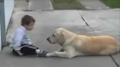 Walaupun diusir, anjing ini tak mau menyingkir hingga mereka bisa bermain bersama.