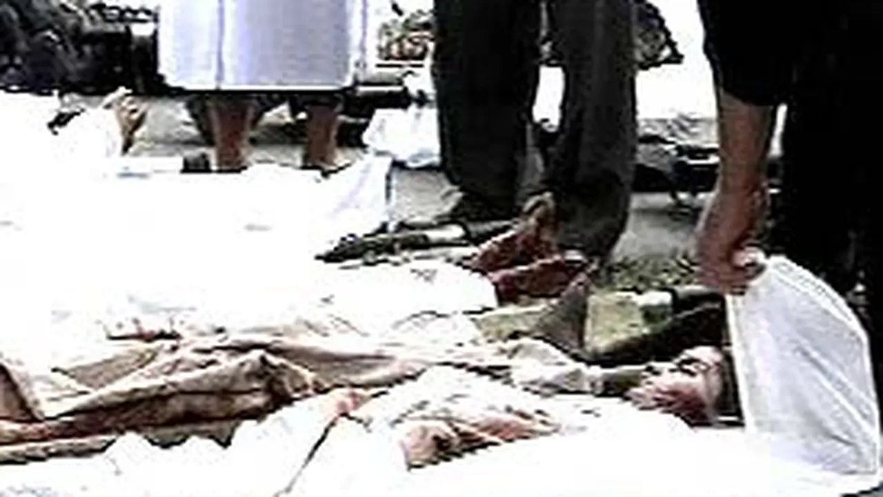 040904aLnSandera.jpg