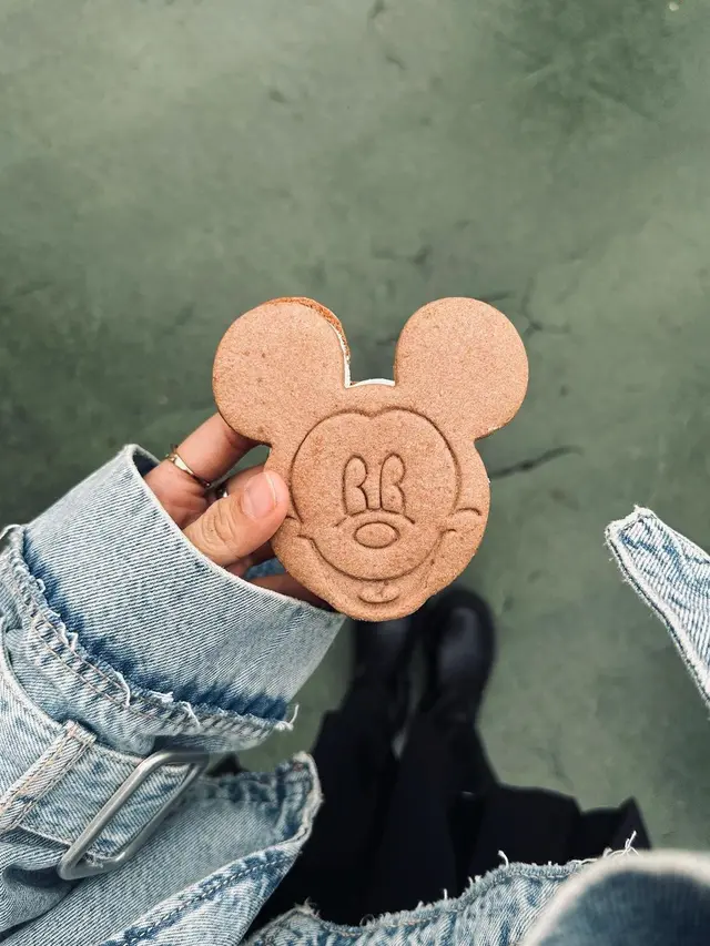 Fuji di Disneyland Jepang. (Foto: Instagram/fuji_an)