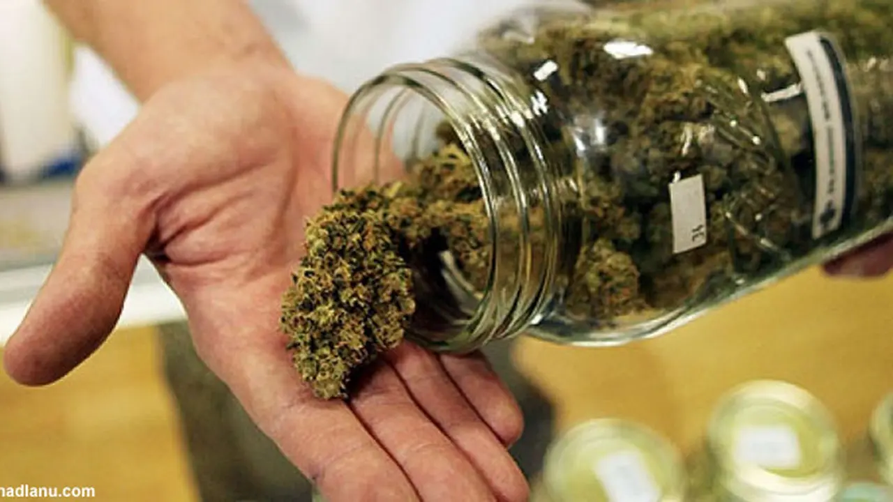 manfaat-ganja-130731b.jpg