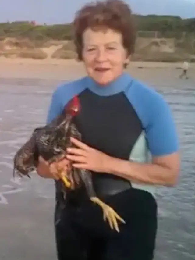Ayam Suka Berenang di Laut