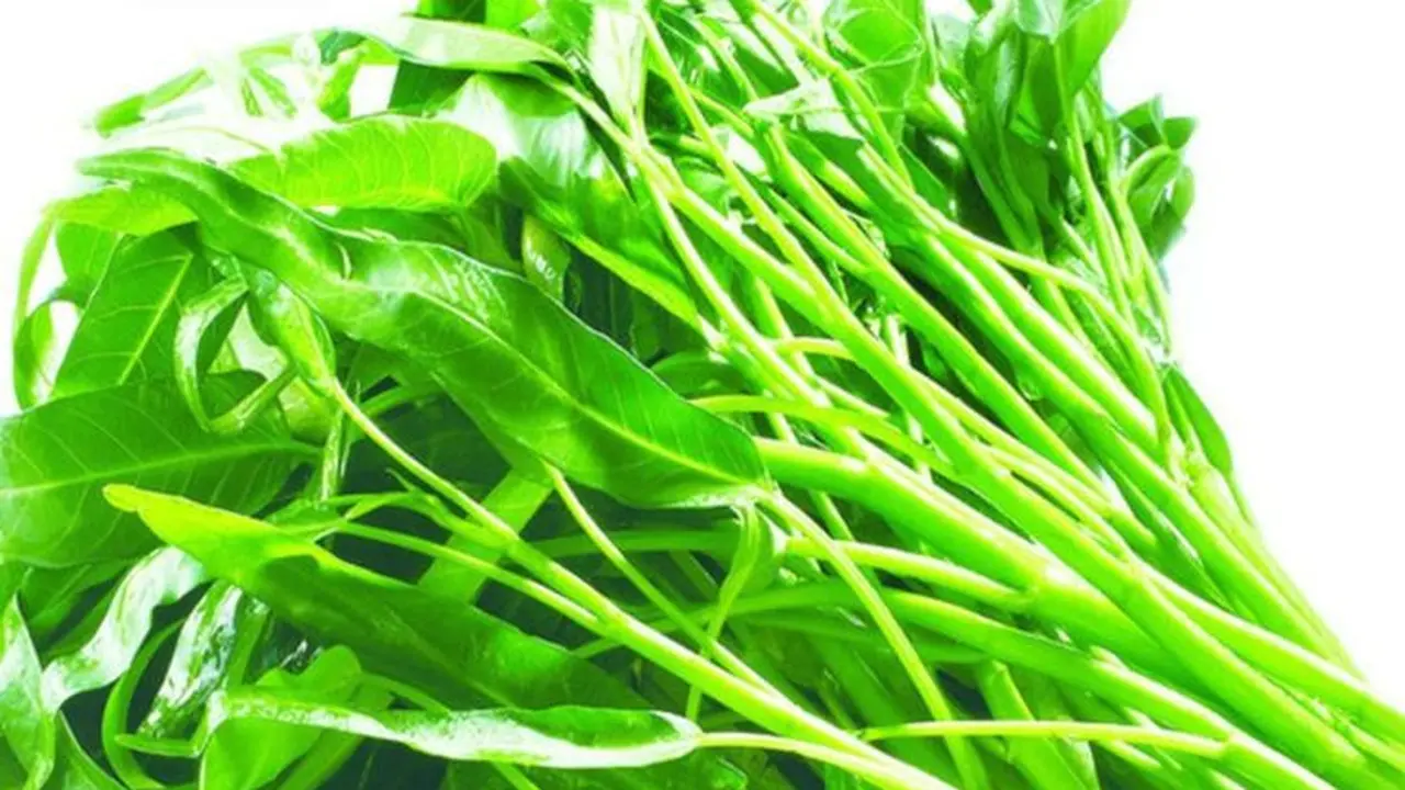 Kangkung. (foto: Pinterest/Amazon).