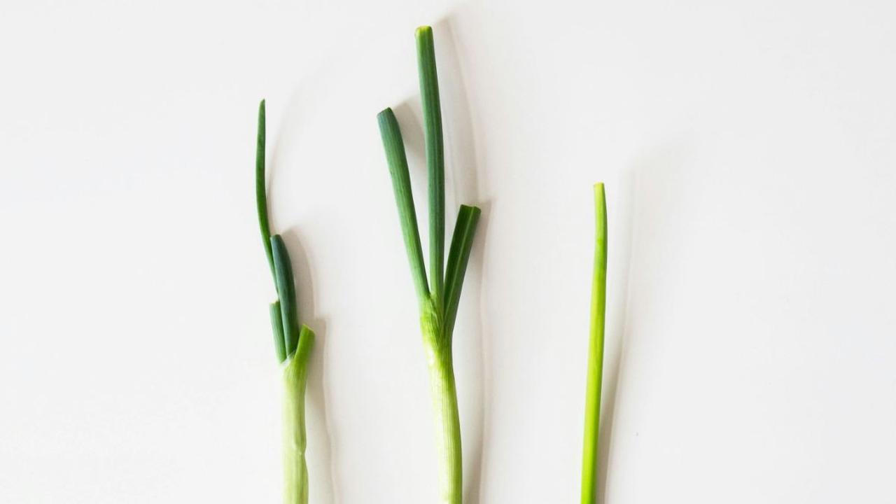 <b>Bahan-bahan</b>