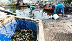 Laut di Bekasi Diduga Tercemar, DPRD Usut Penyebabnya