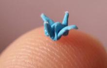Wanita Ini Buat Origami Ukuran Super Kecil hingga Raih Rekor MURI, Penampakannya Curi Perhatian