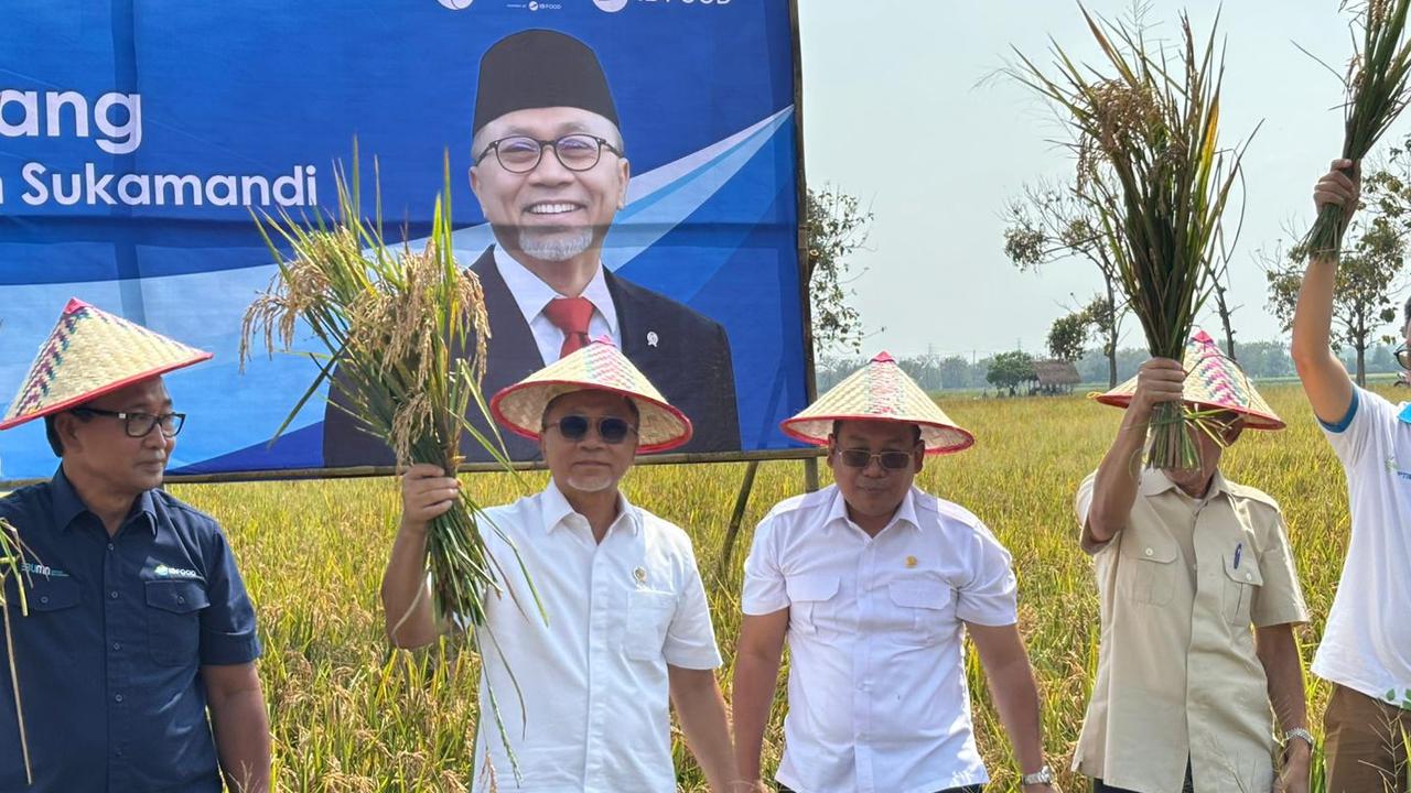 Blusukan ke Subang, Zulhas Ungkap Masalah Pertanian karena Kualitas Bibit Tidak Merata