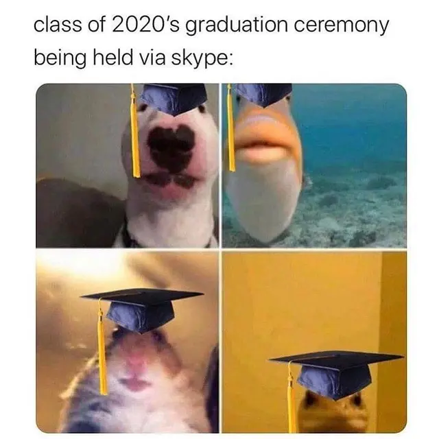 7 Meme Wisuda Saat Pandemi Virus Corona Ini Bikin Sedih