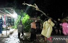 Puluhan Rumah Warga Terendam, Banjir Situbondo Landa Bungatan Akibat Luapan Sungai