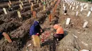 Warga melakukan ziarah makam menyambut bulan Ramadhan 1442 H di Tempat Pemakaman Umum (TPU) khusus covid-19 di Srengseng sawah 2, Jakarta Selatan, Jumat (09/04/2021). Tradisi ziarah makam dalam menyambut bulan Ramadhan setiap tahun dilakukan oleh umat Islam.
(merdeka.com/Arie Basuki)