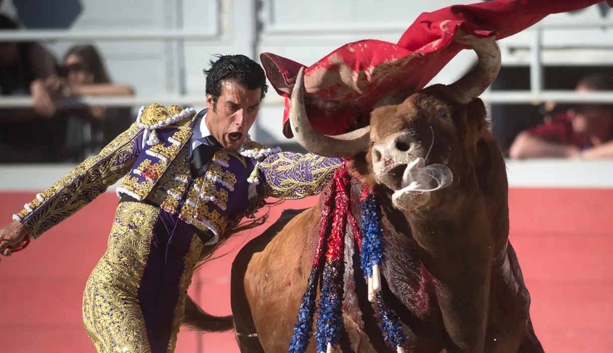 Aksi matador asal Spanyol, Morenito de Aranda saat The Easter Feria di Arles, Perancis, Senin (18/4). Total pengunjung mencapai 500 ribu orang dimana 50 ribu diantaranya benar-benar penggemar fanatik adu banteng. (AFP PHOTO/BERTRAND LANGLOIS)