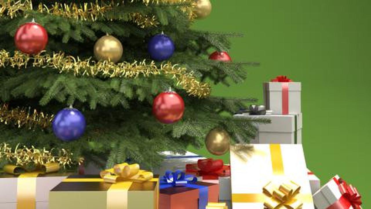 5 Tips mudah merawat pohon Natal