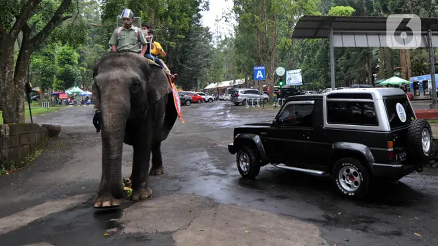 Taman Safari Indonesia Ramai Dikunjungi Wisatawan