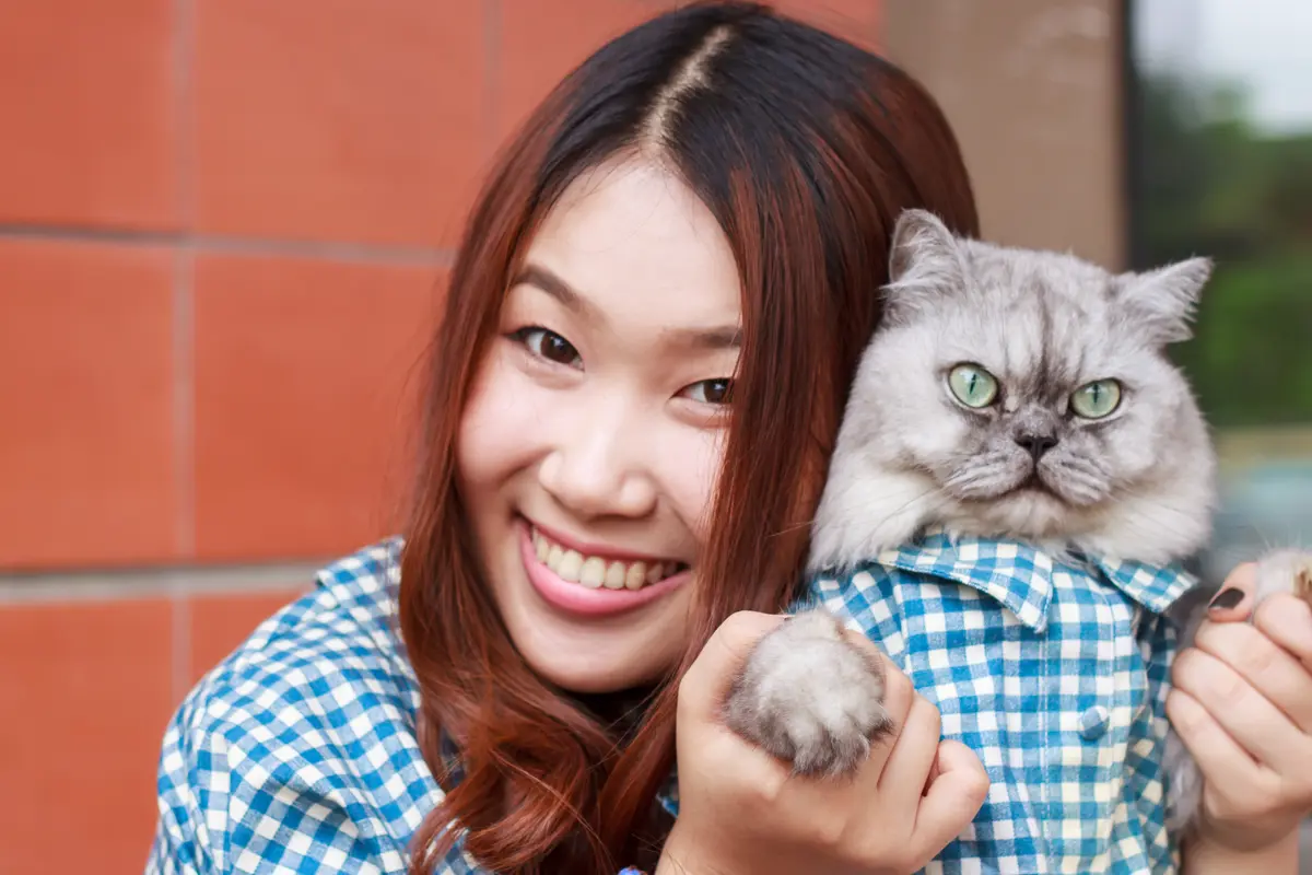 manfaat memelihara kucing
