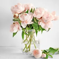 ilustrasi bunga peony/copyright Shutterstock