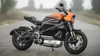 Harley-Davidson LiveWire mulai dipasarkan di Amerika Serikat. (Harley-Davidson)