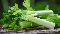 Ilustrasi Daun Seledri Credit: pexels.com/pixabay