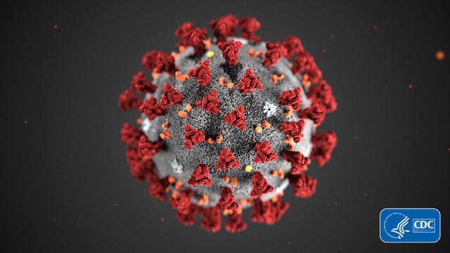 Image result for ilustrasi coronavirus