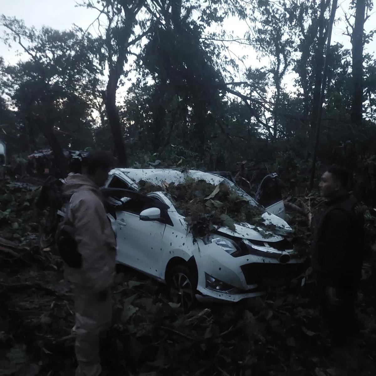 Viral Pohon Tumbang Tutup Jalan Pantura Batang
