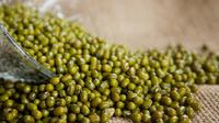 Kacang Hijau (Foto: Pixabay)