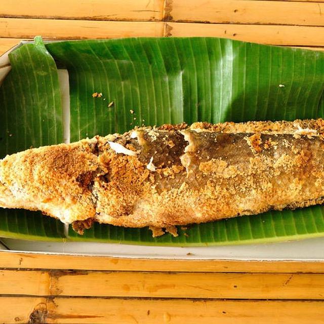 6 Manfaat Ikan Gabus Untuk Ibu Hamil Bantu Menjaga Kesehatan Keduanya Hot Liputan6 Com