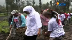 Menurut Khofifah, petani di Lingkar Bromo harus dilindungi dengan program dan regulasi yang tepat termasuk soal harga bibit dan obat-obatan dan harga jual yang menguntungkan di pasaran.