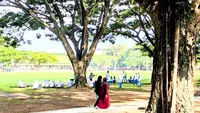 Menanam Pohon Sama dengan Menanam Oksigen, Menebang Artinya Merusak Jantung Manusia Perlahan