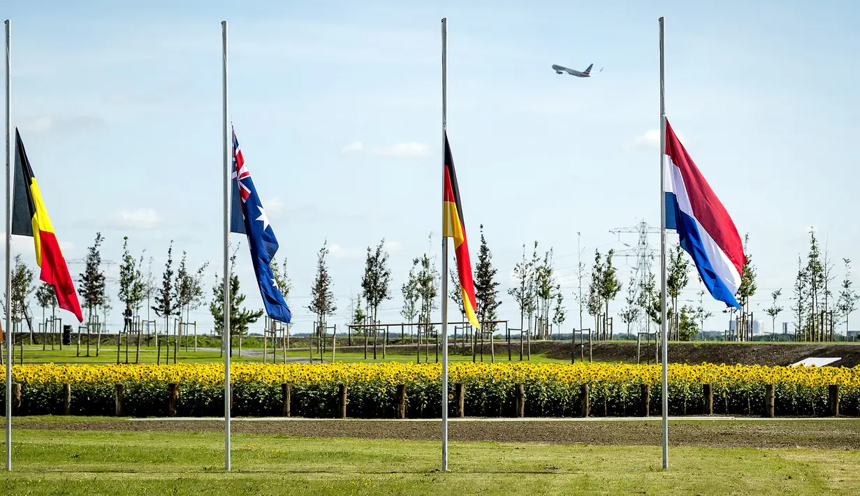 Bendera setengah tiang terpasang sebelum pembukaan taman untuk mengenang para korban pesawat MH17 di Vijhuizen, Belanda, Senin (17/7). Taman itu terdiri atas 298 pohon, mewakili penumpang dan kru yang tewas dalam pesawat naas itu (Frank van Beek/ANP/AFP)