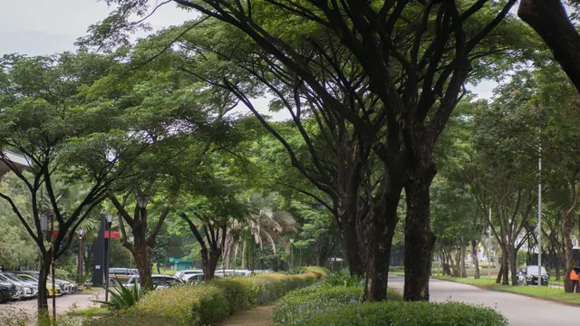Praktik berkelanjutan ke dalam kegiatan operasional  Lippo Cikarang untuk mengurangi dampak lingkungan. (Dok LPCK)