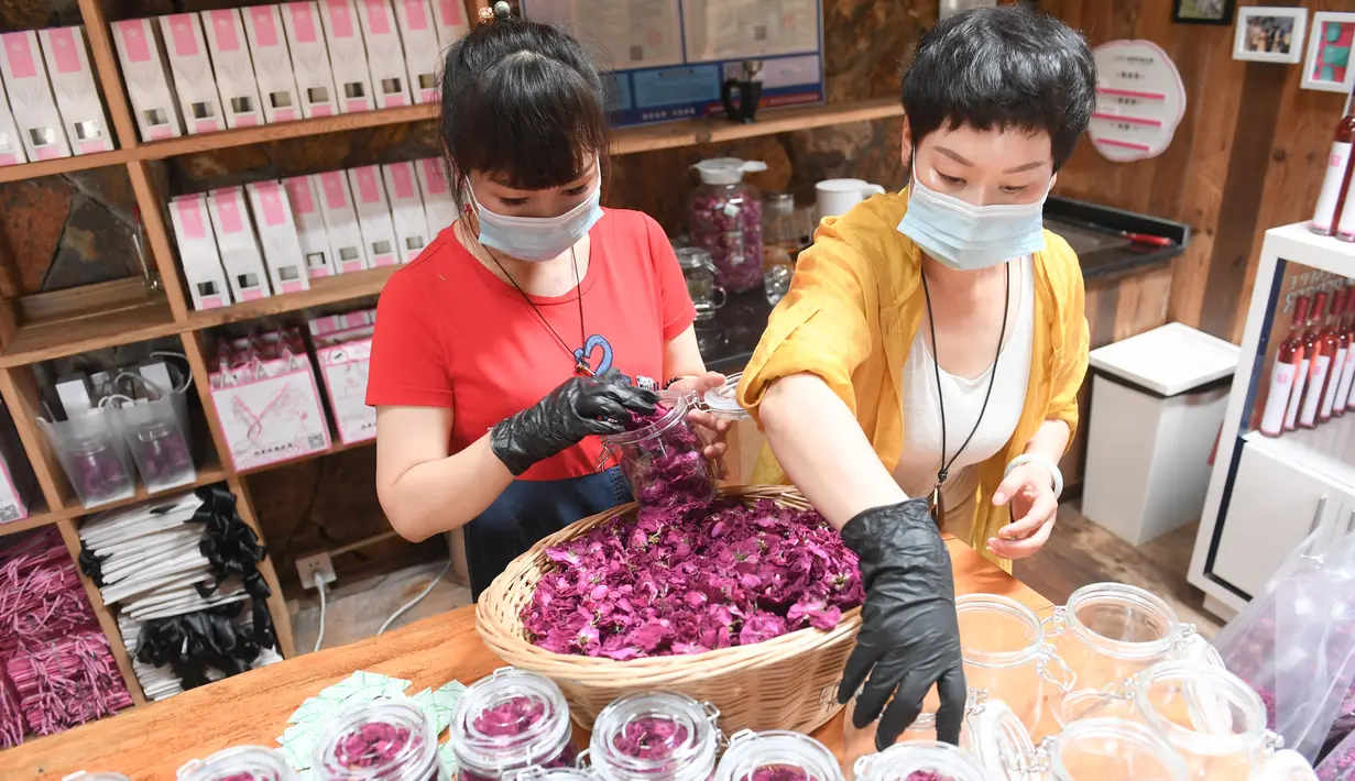 Para staf mengemas kelopak bunga mawar di Wilayah Daixi, Kota Huzhou, Provinsi Zhejiang, China timur (9/6/2020). Wilayah Daixi telah mengembangkan industri kosmetik sejak 2015. (Xinhua/Weng Xinyang)