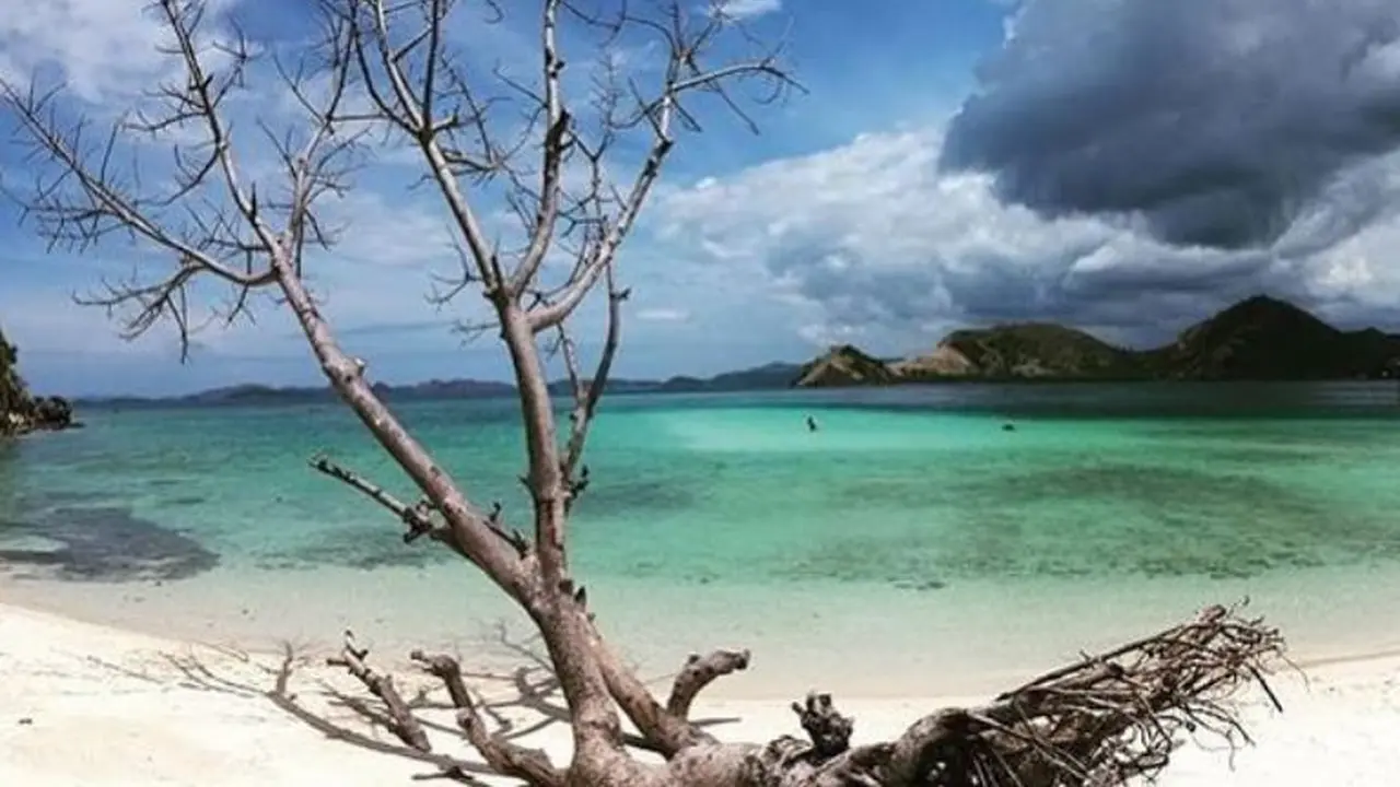 Taman Nasional Komodo