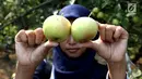 Pengunjung menunjukkan buah apel di salah satu perkebunan kawasan Batu, Malang, Jawa Timur, Rabu (25/9/2019). Apel Malang dihargai Rp 25 ribu hingga Rp 30 ribu per kilogramnya. (Liputan6.com/JohanTallo)