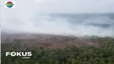 Pemprov Riau menetapkan status siaga terhadap kebakaran hutan dan lahan di seluruh wilayah hingga tiga bulan ke depan.
