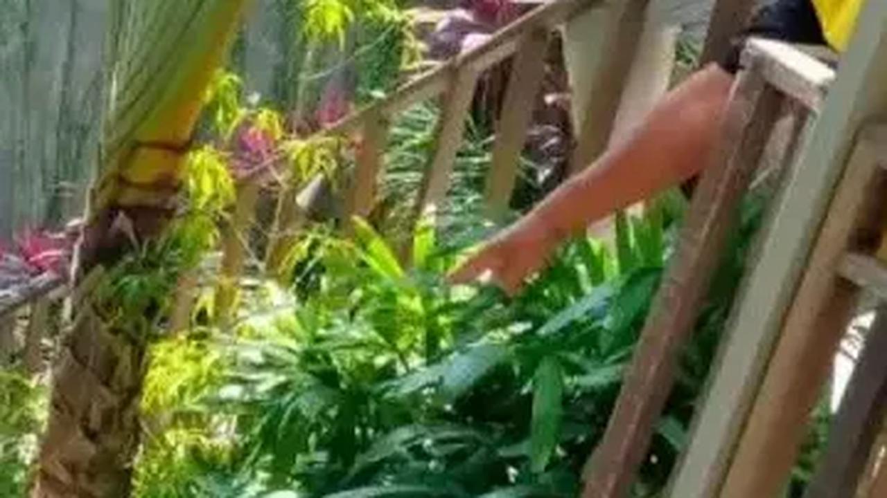 Begini Dalih Pemilik Ayu Terra Resort Ganti Tali Seling Lift dari Tiga Jadi Satu